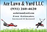 Lawn Care by Ace Lawn & Yard LLC