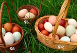Fresh Eggs Easter Baskets
