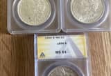 3- Graded Morgan Dollars for 180.00