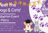 Dog & Cat Adoption Event @ Petco!