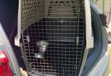 dog crate/ carrier