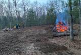 land clearing and stump removal