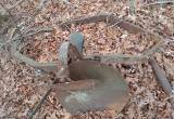 Disk plow for cub tractor