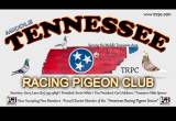 Tennessee Racing Pigeon Club