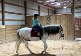 Riding lessons ,Classical Dressage