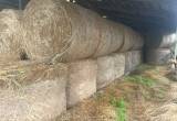 Hay for SALE! 4X5 Net Wrap, Barn Kept