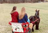 Pony Parties And Beginner Lessons