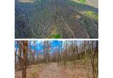55 Ac± WOODED TRACT - ONLINE AUCTION