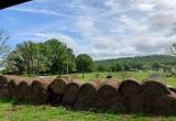 4x5 bails last years hay