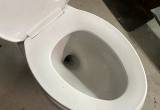 commode toilet oval bowl
