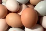 farm fresh eggs!