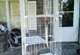 6ft tall cage with wheels