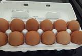 Organic eggs for sale