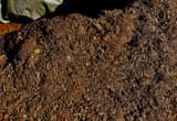Mushroom Compost Sold By 1/3 Yard