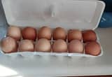 fresh eggs