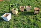 Wooden Planters