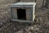 dog house / goat house