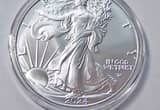 2024 Silver Eagle & Air-Tite Capsule