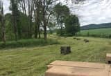 Hay rolls and square bales