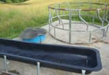 Hay Ring, Trough and Mineral Feeder
