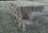Mixed grass sm square hay bales