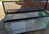 40 gallon reptile tank with open top lid
