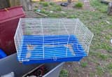 rabbit/ guinea pig cage