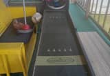 Have your very own skee ball game