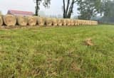 4x4 Round Roll Hay For Sale