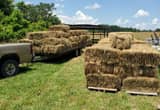 Grass Hay - Small Square Bales - Hilham