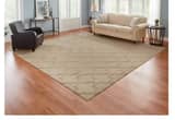 Area Rug 12 by 12