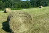 5x51/2rolled hay