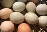 Farm Fresh Eggs