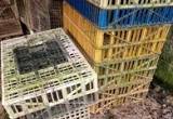 Chicken / Poultry Transport Crates