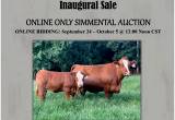 Simmental-Fleckvieh-SimAngus Sale