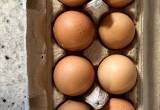 Non-GMO Grass fed Chicken Eggs