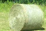 4x5 Round Bale Hay