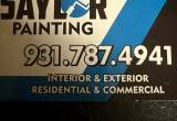 experience painter