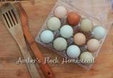 hatching eggs chickens rainbow silkies