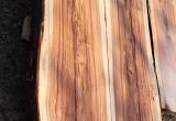wide hickory slabs