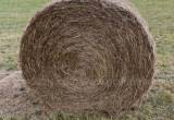 4x5 Rolls of hay for sale