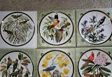 Songbirds of the World Collector Plates