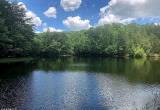 26.4 acres with totally private pond!