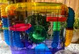 Hamster Home & More